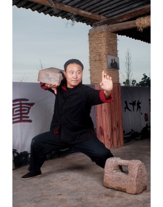5 Months Kung Fu Instructor Training Course in Chengdu